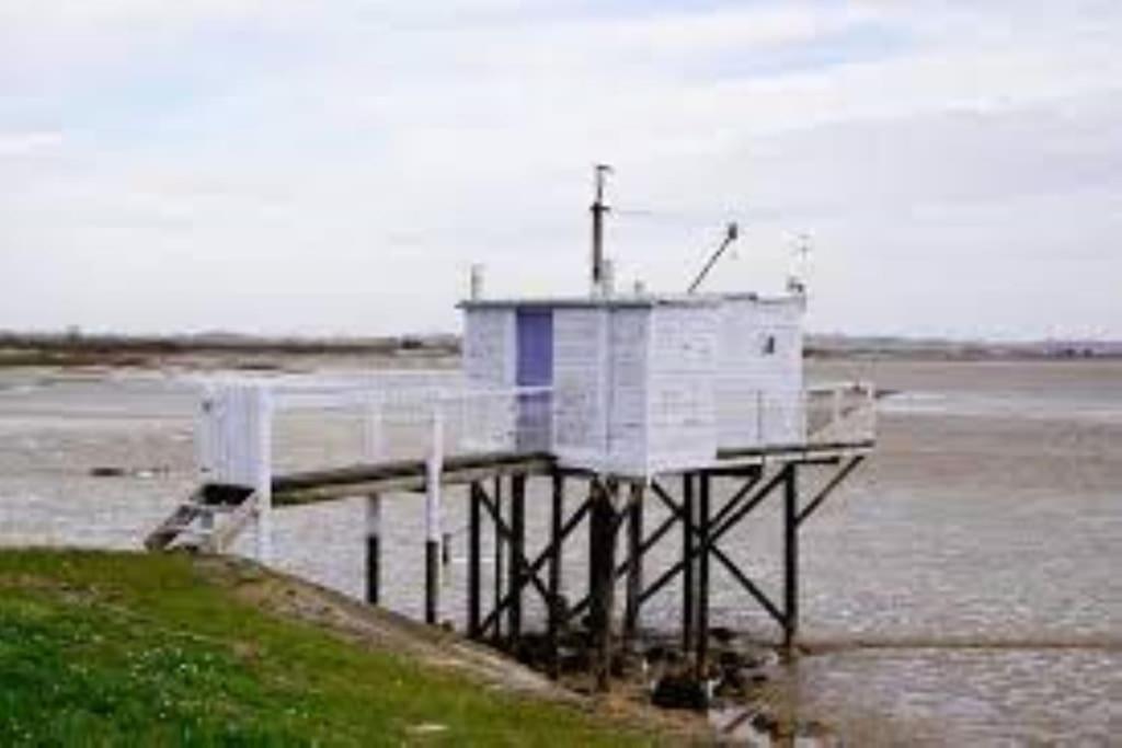 Maison Au Coeur Des Vignes Cussac-Fort-Medoc Εξωτερικό φωτογραφία